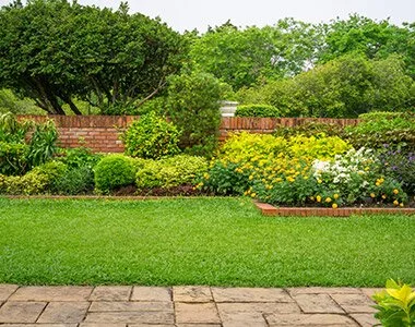 TRIF GARDEN amenajari exterioare Ilfov