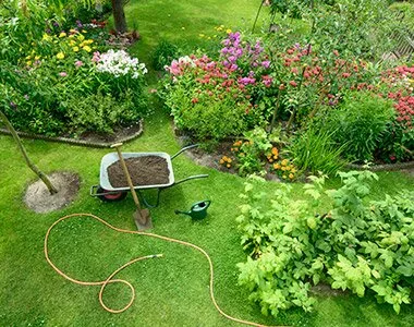 TRIF GARDEN amenajari exterioare Ilfov