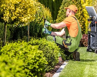 TRIF GARDEN amenajari exterioare Ilfov