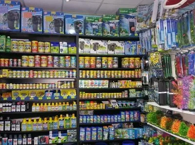 Bucuresti Constructii - amenajari acvarii - comercializare pesti exotici