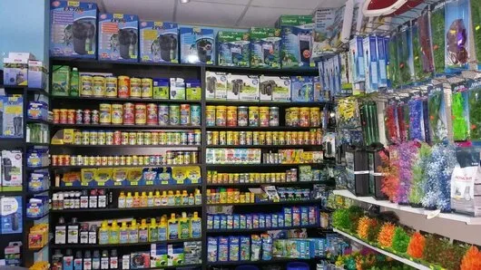 Bucuresti Constructii - amenajari acvarii - comercializare pesti exotici