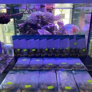 Bucuresti Constructii - amenajari acvarii - comercializare pesti exotici
