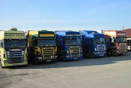 Transport marfa si tractari autovehicule grele - Arad