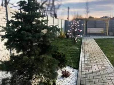 Magurele / Ilfov - Amenajari gradini