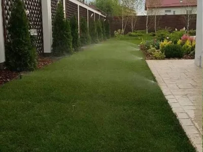 Magurele / Ilfov - Amenajari gradini