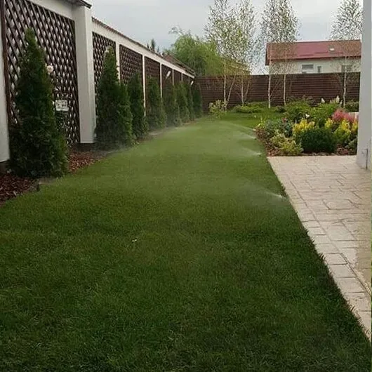 Magurele / Ilfov - Amenajari gradini