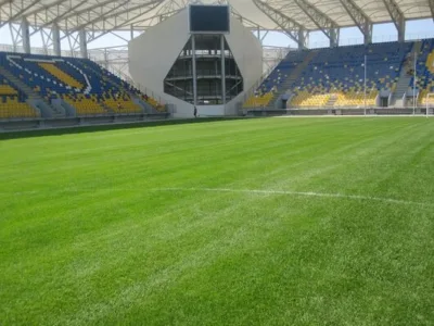 Magurele / Ilfov - Amenajari gradini