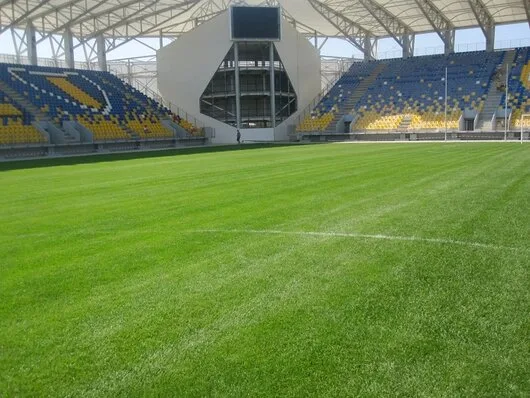 Magurele / Ilfov - Amenajari gradini