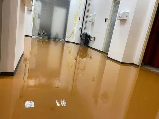 Protectie anticorosiva si decorativa Ilfov