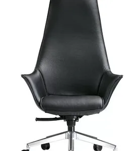 Sensio Concept