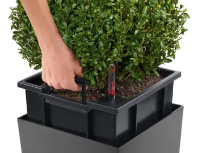 Intretinere - transplantare si amenajare cu plante decorative