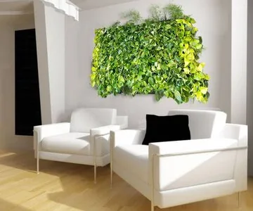 Intretinere - transplantare si amenajare cu plante decorative