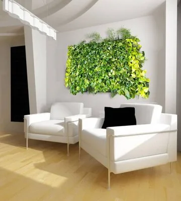 Intretinere - transplantare si amenajare cu plante decorative