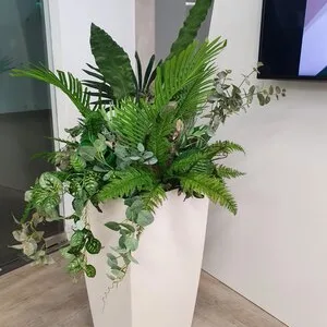Intretinere - transplantare si amenajare cu plante decorative
