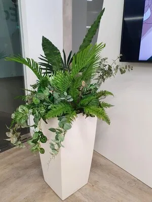 Intretinere - transplantare si amenajare cu plante decorative