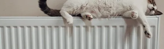 Firma instalatii gaze