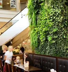 Bucuresti - Sisteme de pereti vegetali