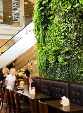 Bucuresti - Sisteme de pereti vegetali