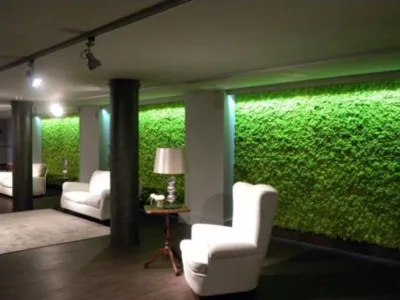 Bucuresti - Sisteme de pereti vegetali