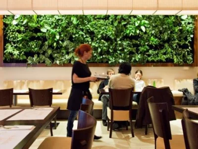 Bucuresti - Sisteme de pereti vegetali