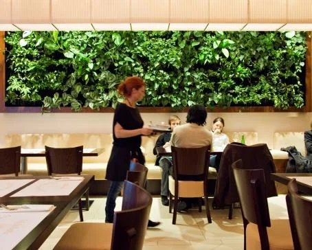 Bucuresti - Sisteme de pereti vegetali