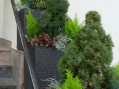 UTIL GARDEN SERVICE