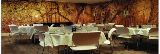 Linoleum - mocheta - parchet - pardoseli - Bucuresti