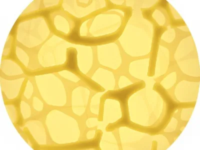 Specialisti in izolatii