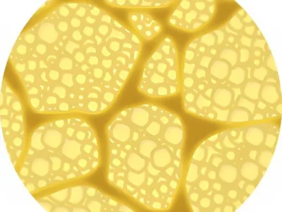 Specialisti in izolatii