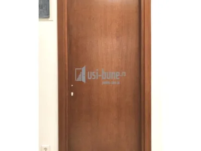 Usi de interior si exterior din lemn