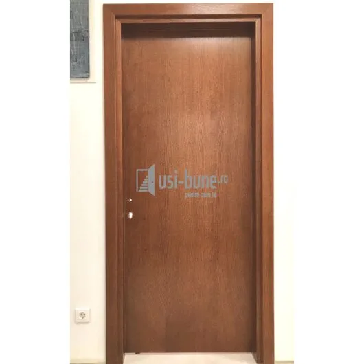 Usi de interior si exterior din lemn