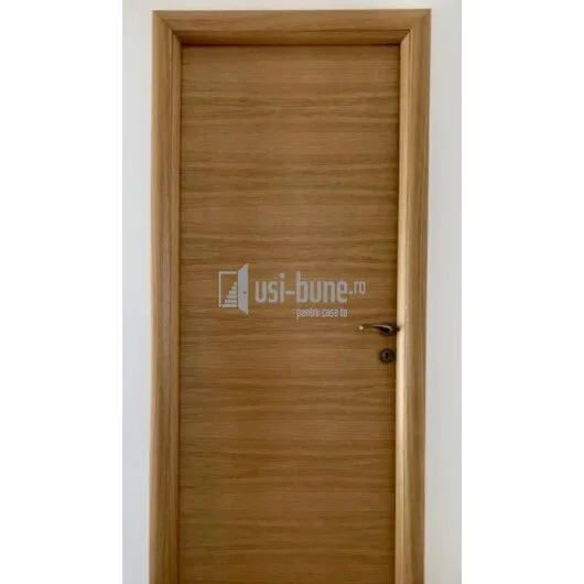 Usi de interior si exterior din lemn