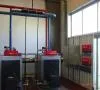 PROTERM & CO