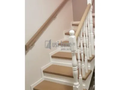 Usi de interior si exterior din lemn