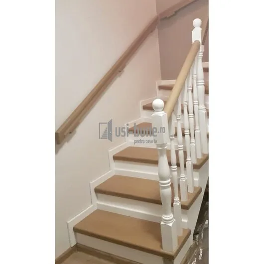 Usi de interior si exterior din lemn