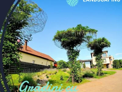 Unique Landscaping
