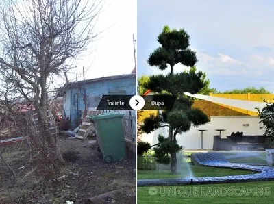 Unique Landscaping
