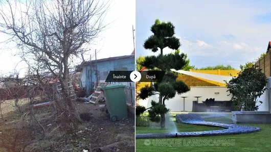 Unique Landscaping