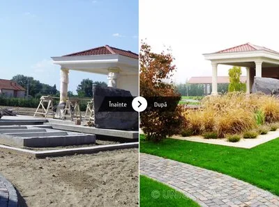 Unique Landscaping