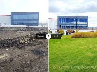 Unique Landscaping