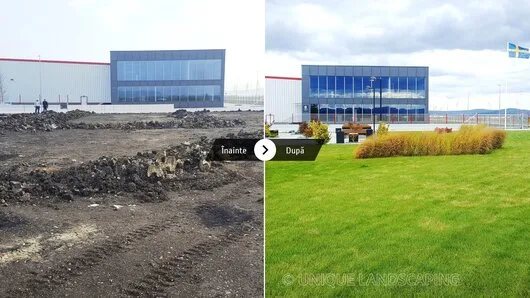 Unique Landscaping