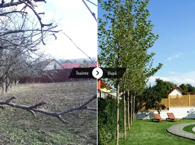 Unique Landscaping