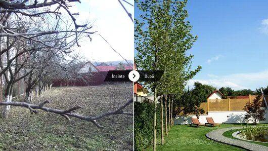 Unique Landscaping
