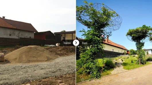 Unique Landscaping