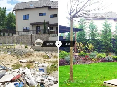 Unique Landscaping