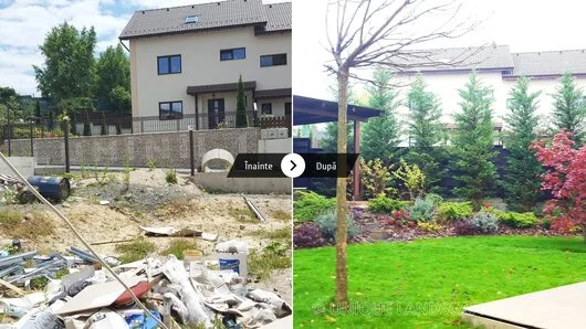 Unique Landscaping