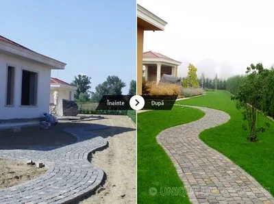 Unique Landscaping