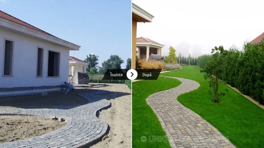 Unique Landscaping