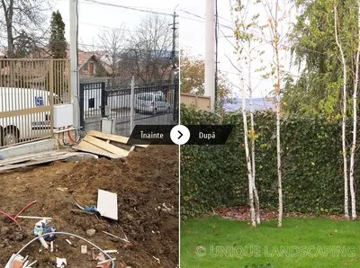Unique Landscaping