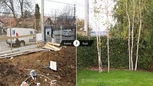 Unique Landscaping